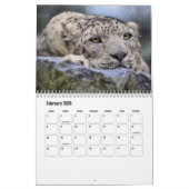 Snow Leopard-Kalender Kalender (Feb 2026)