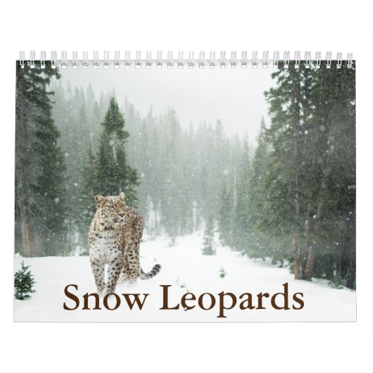 Snow Leopard-Kalender Kalender (Titelbild)