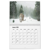 Snow Leopard-Kalender Kalender (Jan 2026)