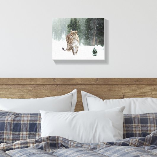Snow Leopard Leinwanddruck (Insitu (Schlafzimmer))