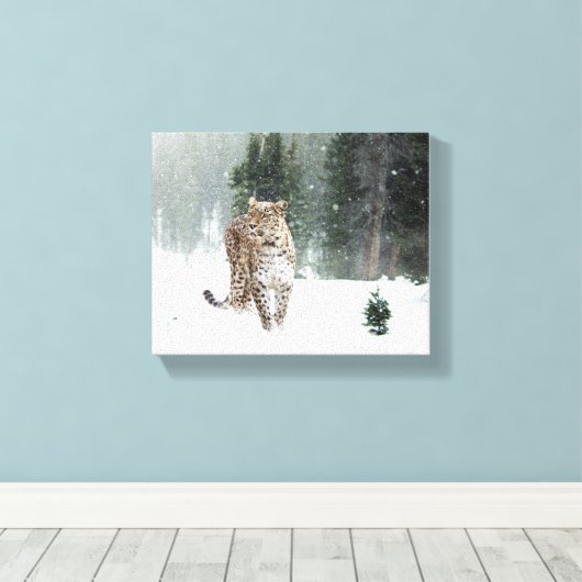 Snow Leopard Leinwanddruck (Insitu (Holzboden))