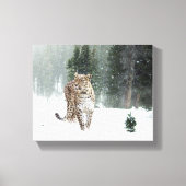 Snow Leopard Leinwanddruck (Vorderseite)