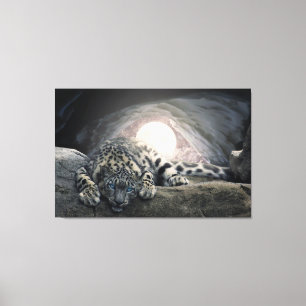 Snow Leopard Leinwanddruck