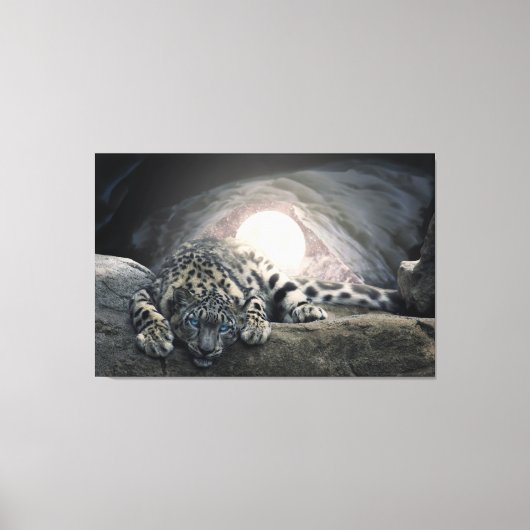 Snow Leopard Leinwanddruck (Vorderseite)
