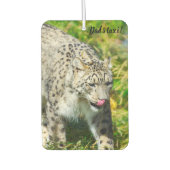 Snow Leopard Lufterfrischer (Vorderseite)