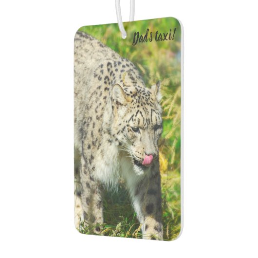 Snow Leopard Lufterfrischer (Links)