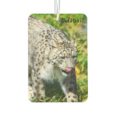 Snow Leopard Lufterfrischer (Rückseite)