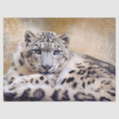 Snow Leopard Lying Down Seidenpapier (Vorderseite)