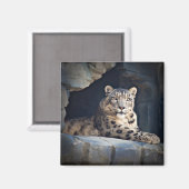 Snow Leopard Magnet (Vorderseite/Rückseite)