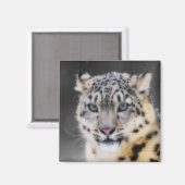 Snow Leopard Magnet (Vorderseite/Rückseite)
