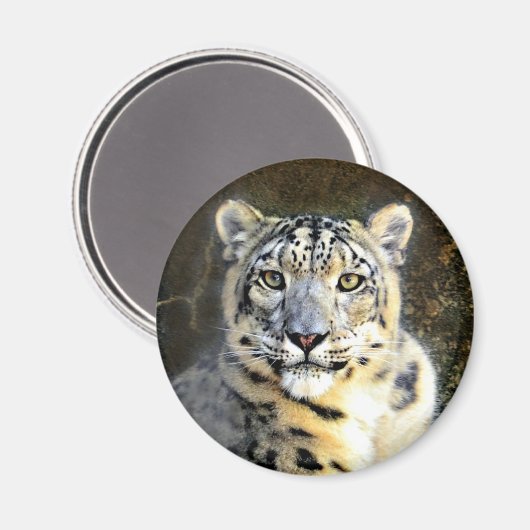 Snow Leopard Magnet (Vorderseite/Rückseite)