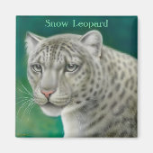 Snow Leopard Magnet (Vorne)