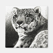 Snow Leopard Magnet (Vorne)