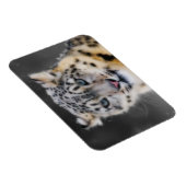 Snow Leopard Magnet (Rechte Seite)