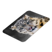 Snow Leopard Magnet (Linke Seite)
