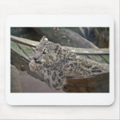 Snow Leopard Mousepad (Vorne)