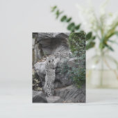 Snow Leopard Mutter und Cube Postkarte (Stehend Vorderseite)