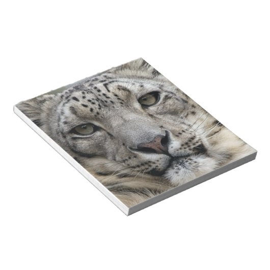 Snow Leopard Notepad Notizblock (angewinkelt)