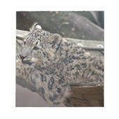 Snow Leopard Notizblock (Vorderseite)
