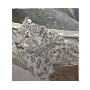 Snow Leopard Notizblock