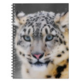 Snow Leopard Notizblock (Vorderseite)