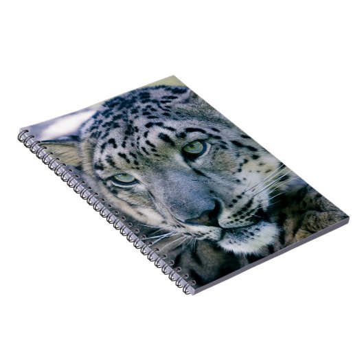 Snow Leopard Notizblock (Rechte Seite)