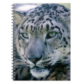 Snow Leopard Notizblock (Vorderseite)