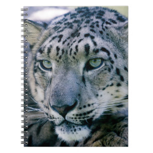 Snow Leopard Notizblock