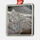 Snow Leopard Ornament Aus Metall (Links)