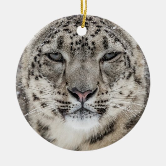 Snow Leopard Portrait Keramik Ornament (Vorne)