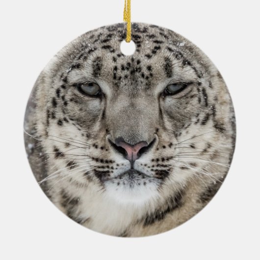 Snow Leopard Portrait Keramik Ornament (Hinten)