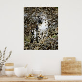 Snow Leopard Posing Poster (Küche)