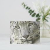 Snow Leopard Postcard Postkarte (Stehend Vorderseite)