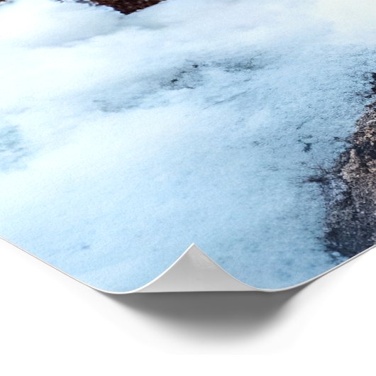 Snow Leopard Poster (Ecke)