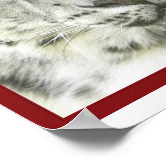 Snow Leopard Poster (Ecke)