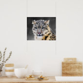 Snow Leopard Poster (Küche)