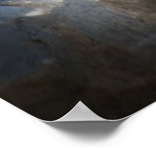 Snow Leopard Poster (Ecke)