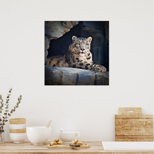 Snow Leopard Poster (Küche)