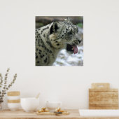 Snow Leopard Poster (Küche)