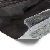 Snow Leopard Poster (Ecke)