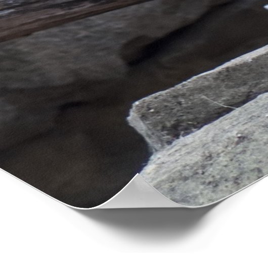 Snow Leopard Poster (Ecke)