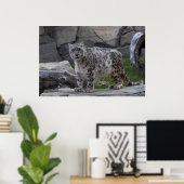 Snow Leopard Poster (Heimbüro)