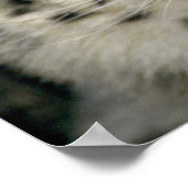 Snow Leopard Poster (Ecke)