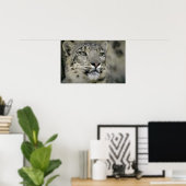 Snow Leopard Poster (Heimbüro)