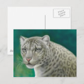 Snow Leopard Postkarte (Vorne/Hinten)