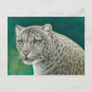 Snow Leopard Postkarte