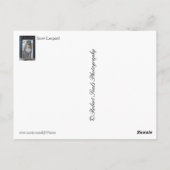 Snow Leopard Postkarte (Rückseite)