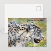 Snow Leopard Postkarte (Vorne/Hinten)