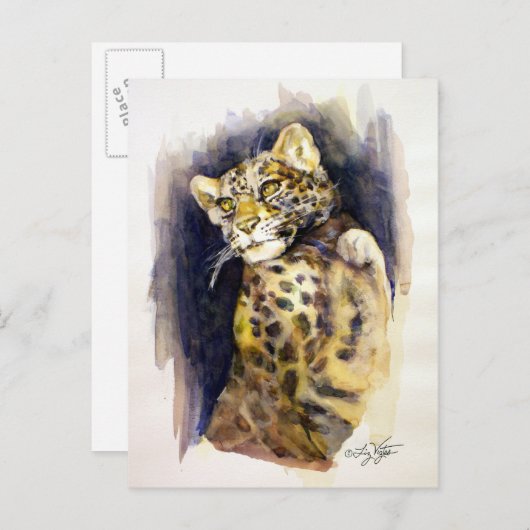 Snow Leopard Postkarte (Vorne/Hinten)