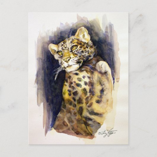 Snow Leopard Postkarte (Vorderseite)